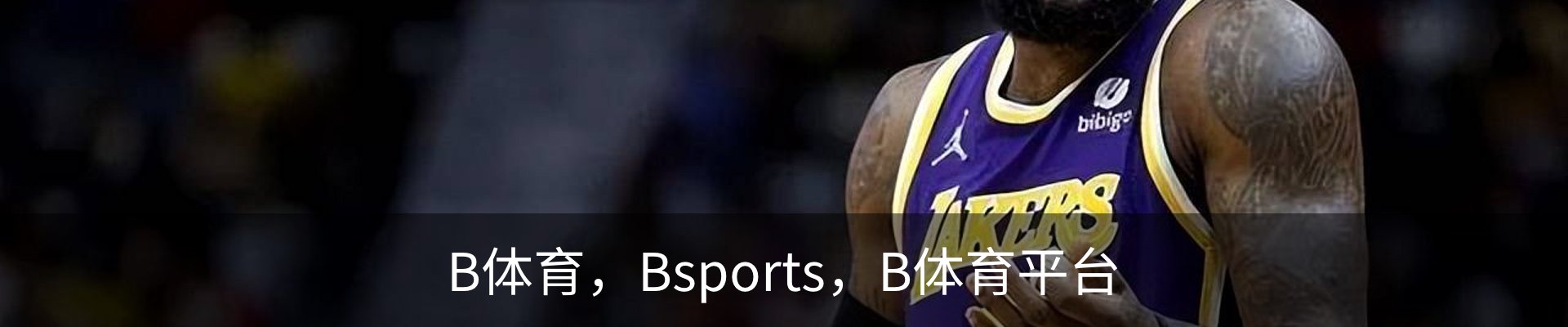 B体育，Bsports，B体育平台